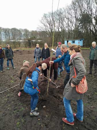 20170304 boomplanten