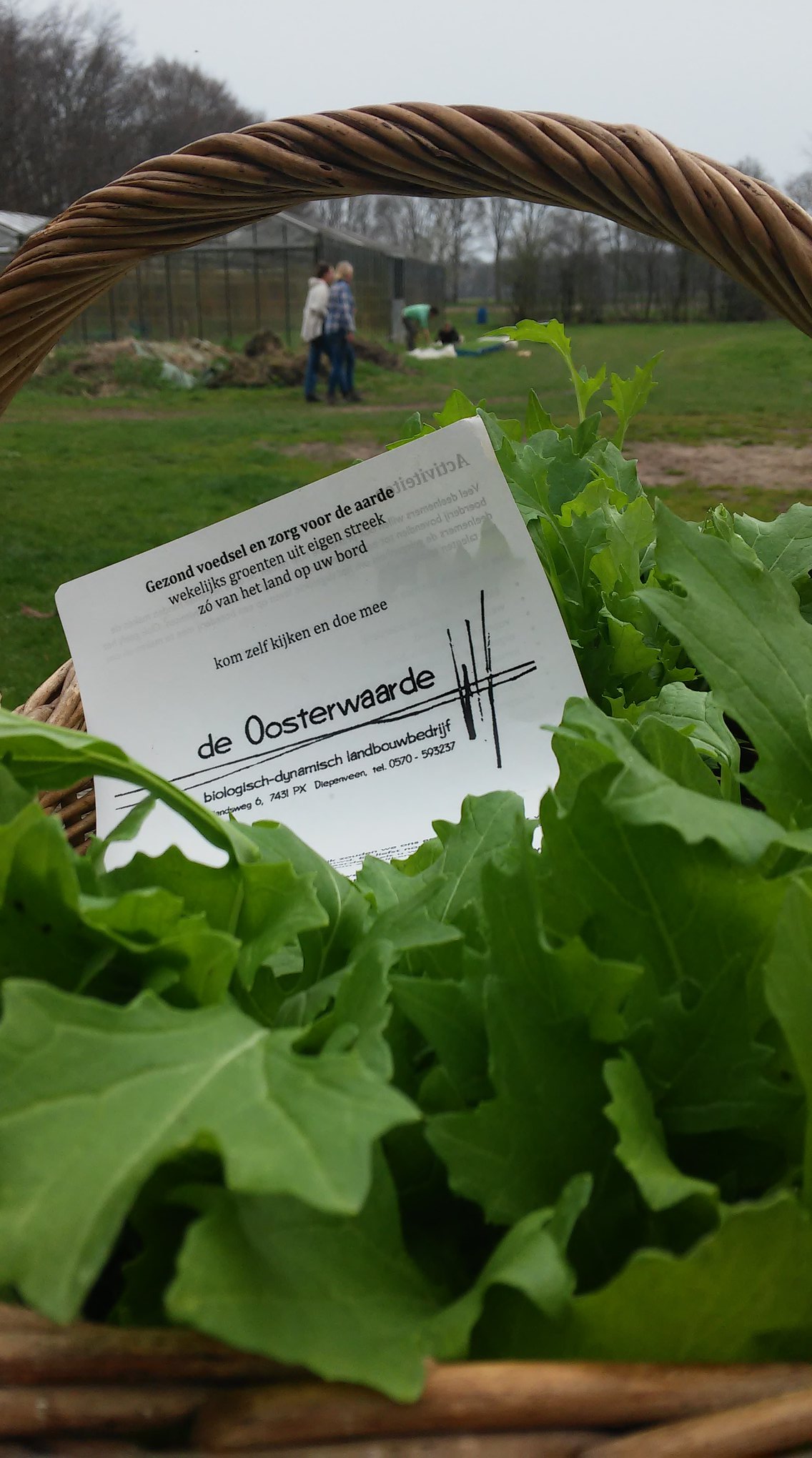 raapstelen met folder